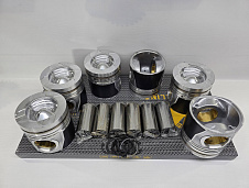 Поршни DL08 65.02501-0505/ 130602-00794/ 65.02501-0501 (fire box=66mm) Alfin/Gal.